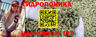 МДПВ Краснознаменск
