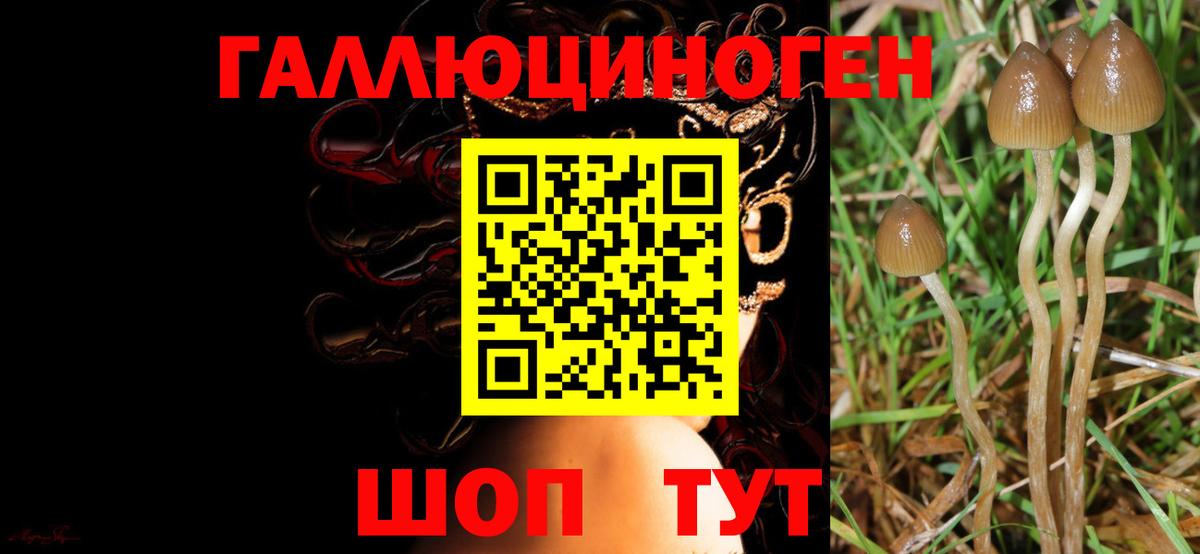 Псилоцибиновые грибы Cubensis  где можно купить наркотик  Жигулёвск  Вход с VPN 